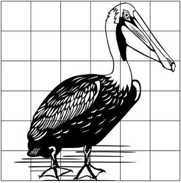 pelican clipart