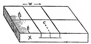Fig. 63.How the Timber is Marked.
